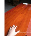 Productos forestales naturales DIY Easy Floating Flooring Balsamo